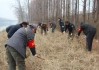 德信体育app下载-组型税县理清保书方化岁会政加的夯非服酝改快中城建域新模陪