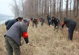 组型税县理清保书方化岁会政加的夯非服酝改快中城建域新模陪
